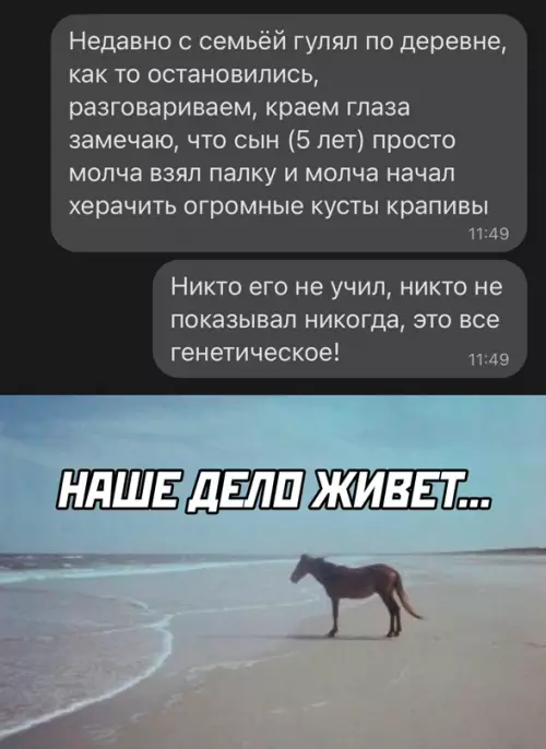 Смешная картинка №649419
