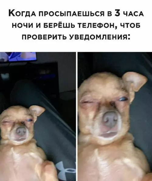 Смешная картинка №661275