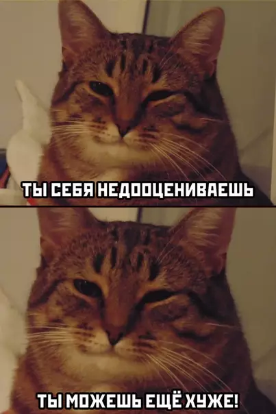 Смешная картинка №501667