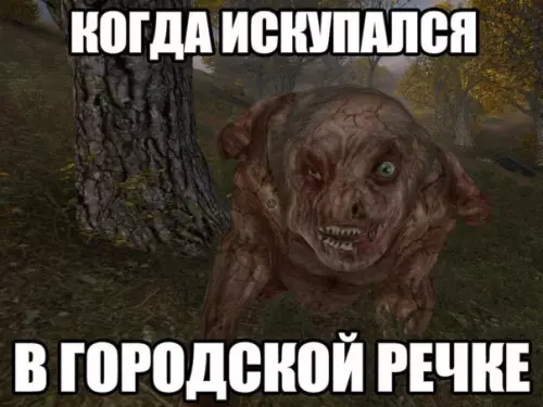 Смешная картинка №198463