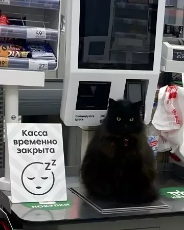 Смешная картинка №794525 Заблокировано 