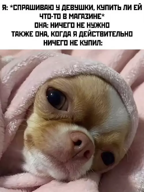 Смешная картинка №733434 Как он мог