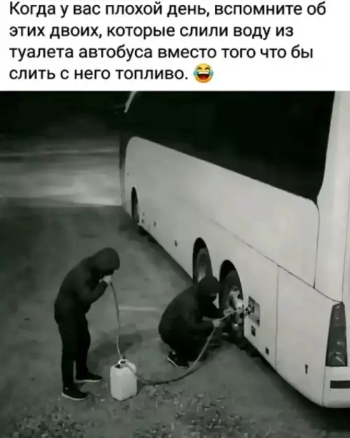 Гении криминала подъехали! 😂💀 - Когда у вас плохой день, вспомните об этих двоих, которые