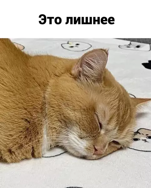 продолжение Смешная картинка №582244 И тaк вcё ycтpaивaeт