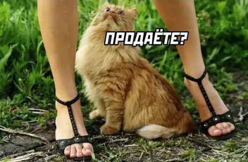 Смешная картинка №590203 про рыбов