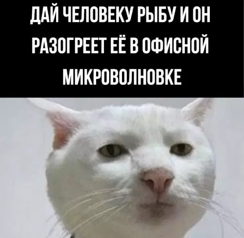 Смешная картинка №668837