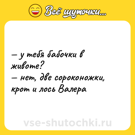 Шутка: — у тебя бабочки в животе?<br>— нет, две сороконожки, крот и лось Bалера