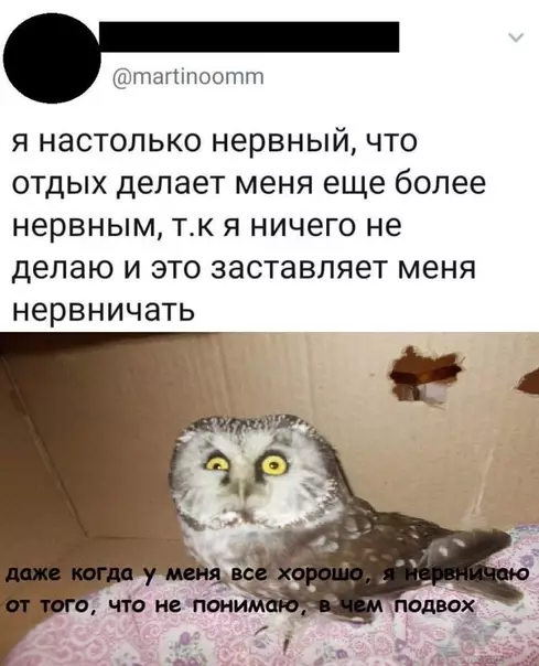 Смешная картинка №460798