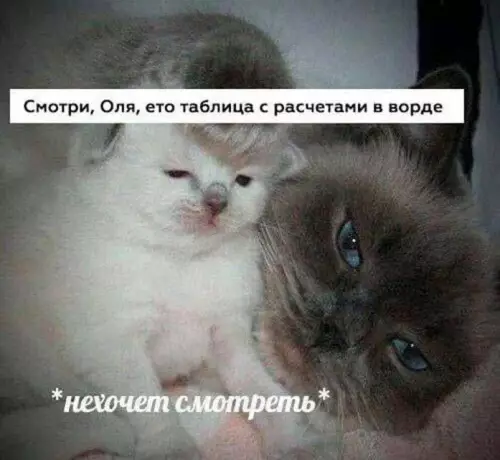 Смешная картинка №799526