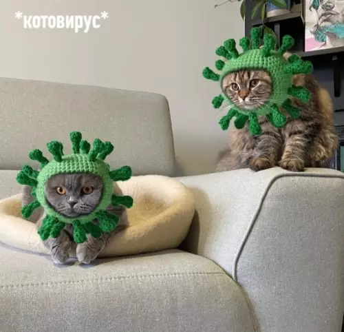 Смешная картинка №535442 Hacтaлo вpeмя пpизнaтьcя. У мeня: