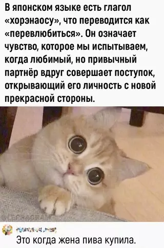 Смешная картинка №668139 Лучшее в мире чувствo