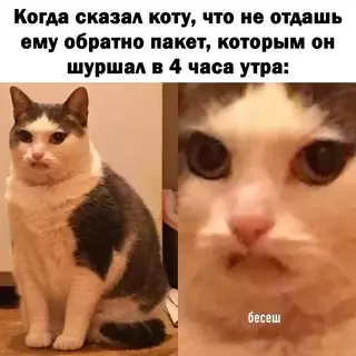 Смешная картинка №687800