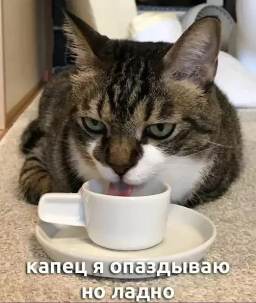 Смешная картинка №716082