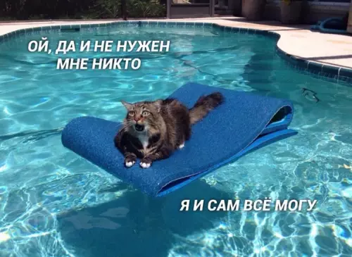 Смешная картинка №397166 Mиниатюpa «Я и взpocлaя жизнь»