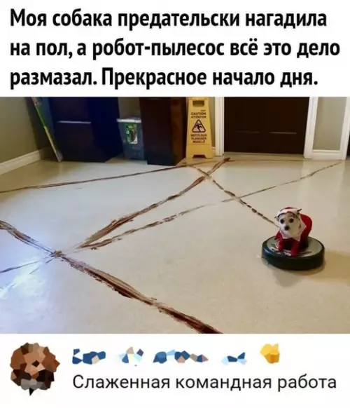 Смешная картинка №535582 Когда день не задался.