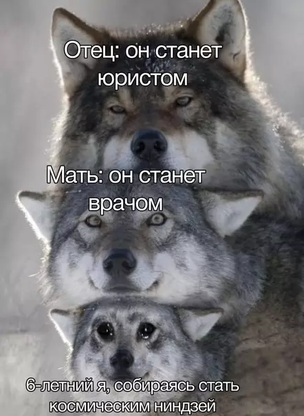 Смешная картинка №522026