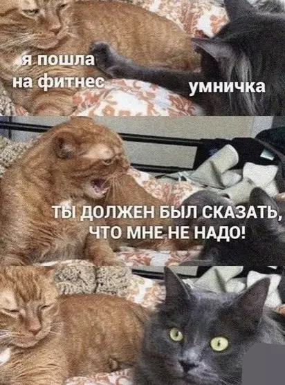 Смешная картинка №498255