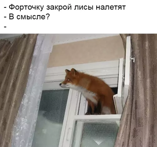 Смешная картинка №345592