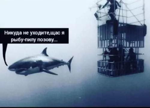 Смешная картинка №719235