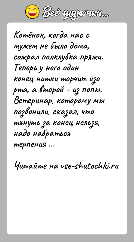 История: Котёнок, когда нас с мужем не было дома, сожрал полклубка пряжи. Теперь у него один конец нитки торчит изо рта,