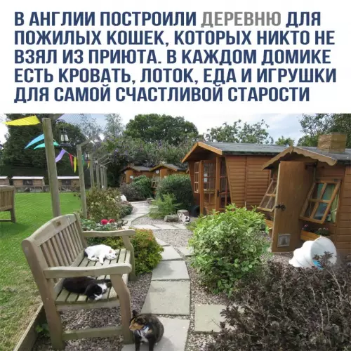 Смешная картинка №780429