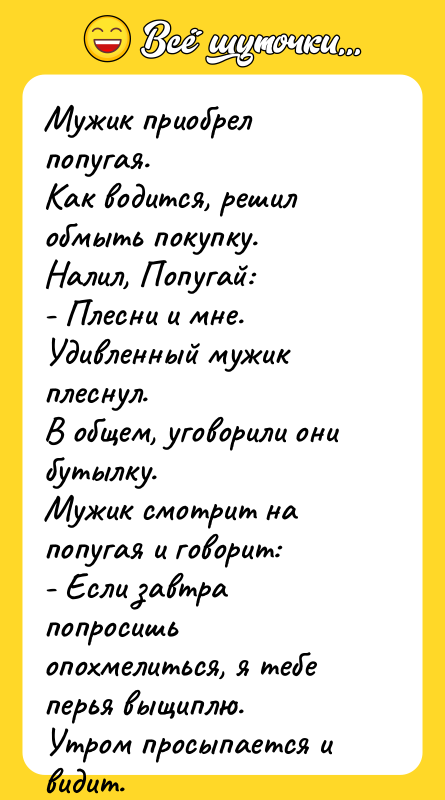 Мужик приобрел попугая. Как водится, решил обмыть покупку.