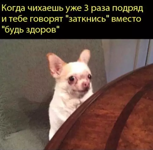 Смешная картинка №432410