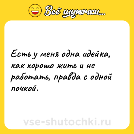 Шутка: Есть у меня одна идейка, как хорошо жить и не работать, правда с одной почкой.