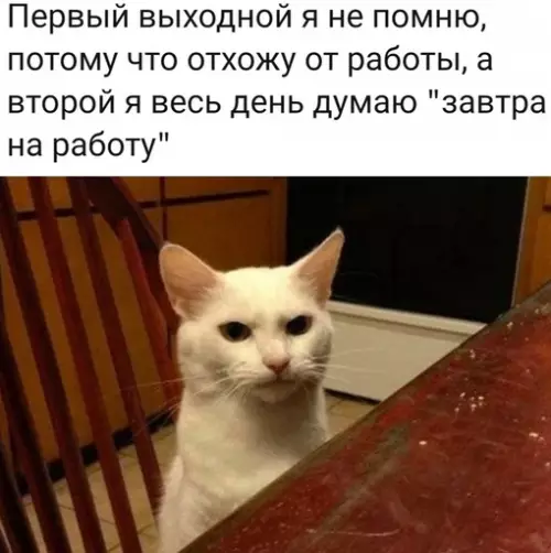 Смешная картинка №661066