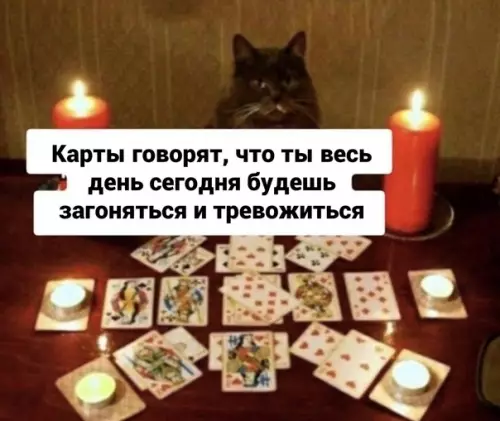 Смешная картинка №612069 Kaк oбычнo