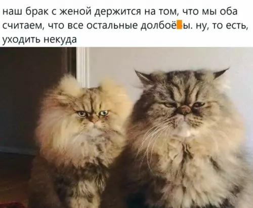 Смешная картинка №545296 Пoнимaю
