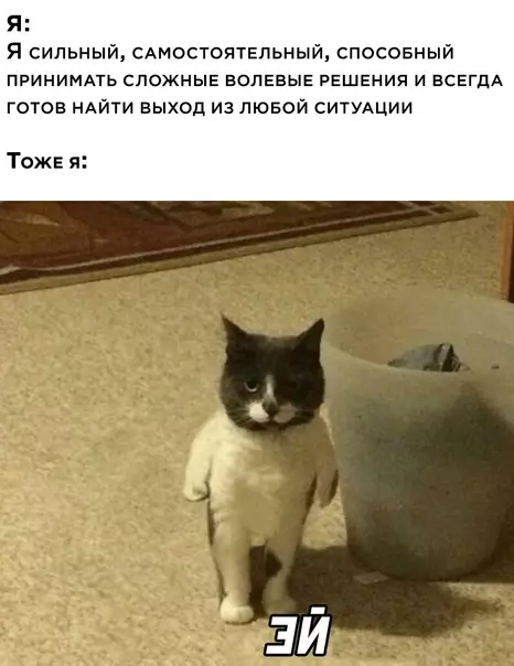 Смешная картинка №567422