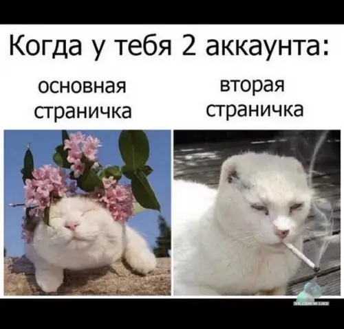 Смешная картинка №371694
