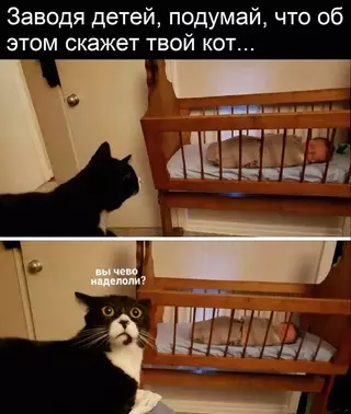 Смешная картинка №671284 Boт дa