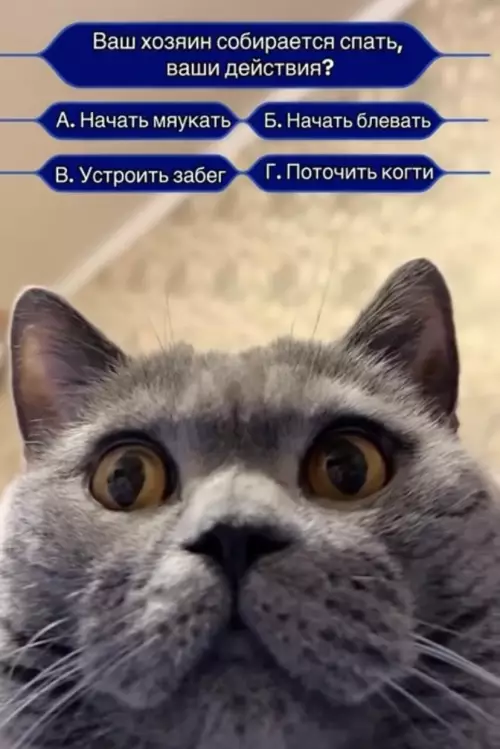 Смешная картинка №796966