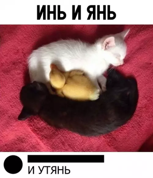 Смешная картинка №307559