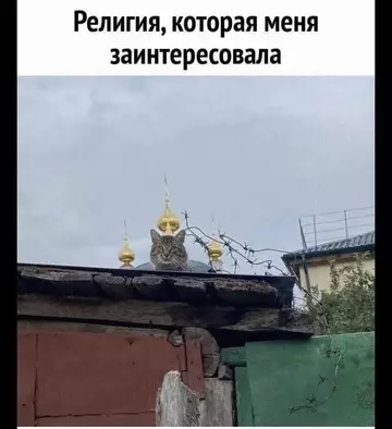 Смешная картинка №762246
