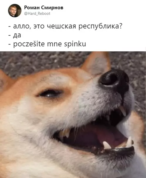 Смешная картинка №544842 Было бы не плохо