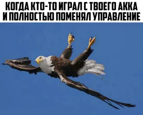Смешная картинка №215745