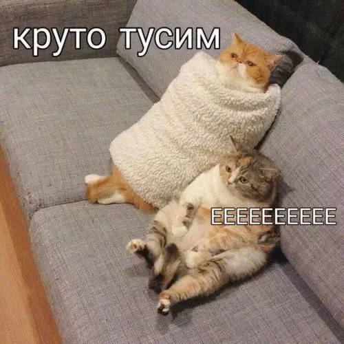 Смешная картинка №797469