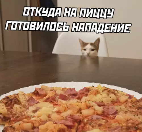 продолжение Смешная картинка №641879