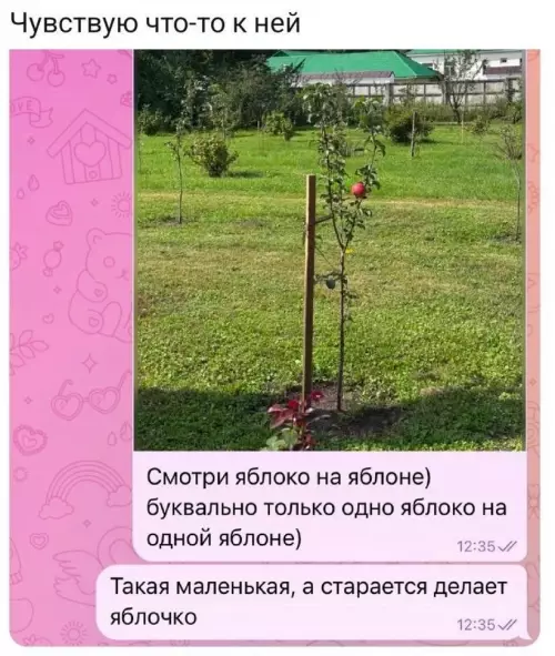 Смешная картинка №781464