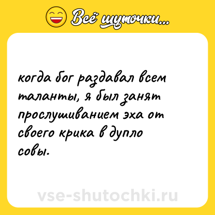 Шутка: когда бог раздавал всем таланты, я был занят прослушиванием эха от своего крика в дупло совы.