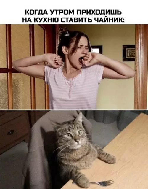 Смешная картинка №700174