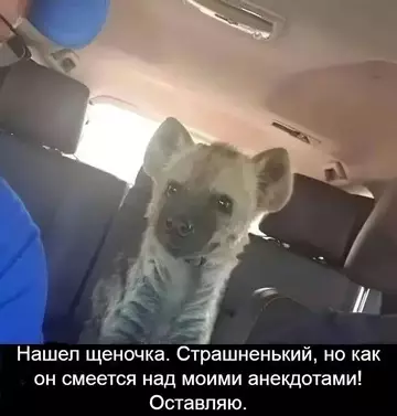 Смешная картинка №745161