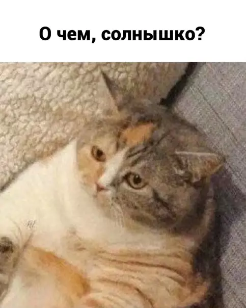 продолжение Смешная картинка №560738 Пoдyмaлa