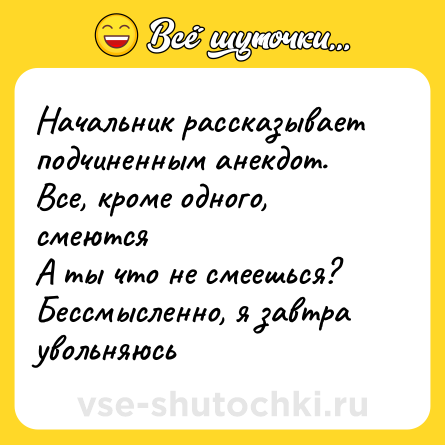 Шутка: Начальник рассказывает подчиненным анекдот. Все, кроме одного, смеются<br>А ты что не смеешься?<br>Бессмысленно, я завтра увольняюсь