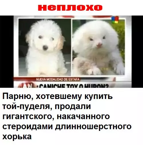 Смешная картинка №222218
