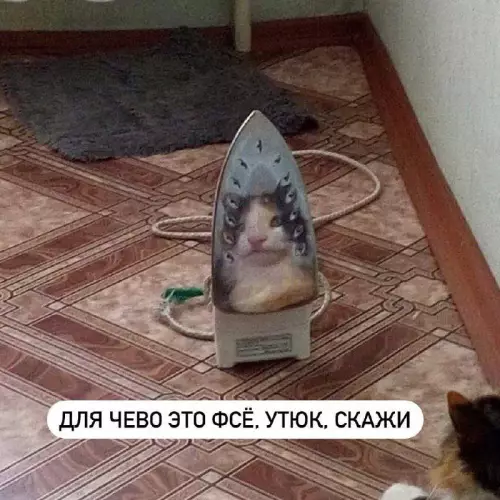 Смешная картинка №750291