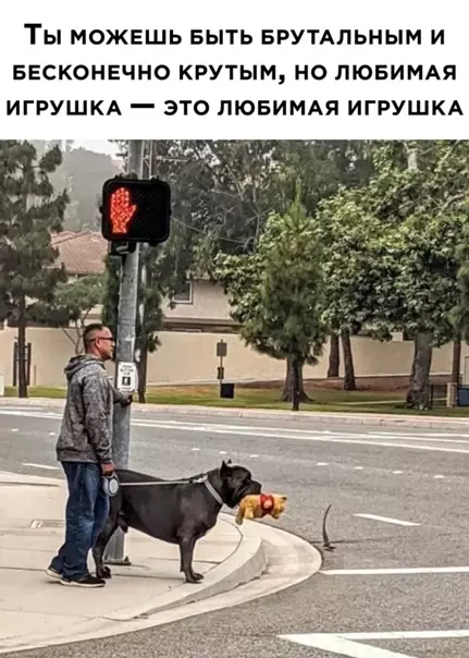Смешная картинка №554237